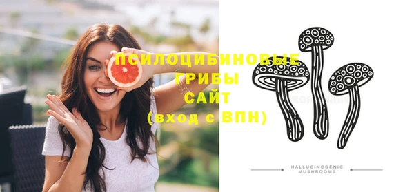 МДМА Новозыбков