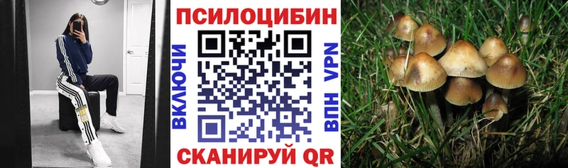 Псилоцибиновые грибы Cubensis  где продают наркотики  Тула 