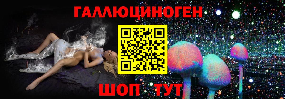 Галлюциногенные грибы Psilocybe Тула